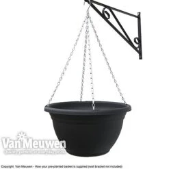 Pansy 'Universal Mixed' F1 Hybrid 11 Pansy 'Universal Mixed' F1 Hybrid -Garden Whisper Shop VM Pre PlantedBasket1