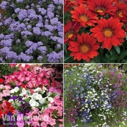 Summer Bedding Collection 9 Summer Bedding Collection -Garden Whisper Shop pic33